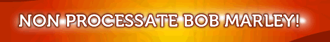 ROTOTOM SUNSPLASH